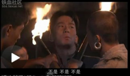 电视剧剿匪片,剿匪英雄的传奇征程